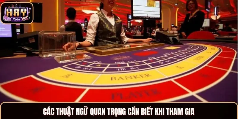 Baccarat Haywin - Trải Nghiệm Chuẩn Xác, Cơ Hội Thắng Cao Các thuật ngữ quan trọng cần biết khi tham gia chơi