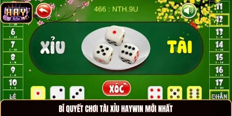 Bí quyết chơi tài xỉu haywin mới nhất