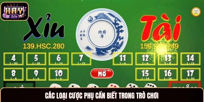 Các loại cược phụ cần biết trong trò chơi