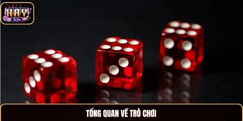 Tổng quan về trò chơi