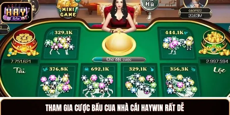 Tham gia cược bầu cua nhà cái Haywin rất dễ