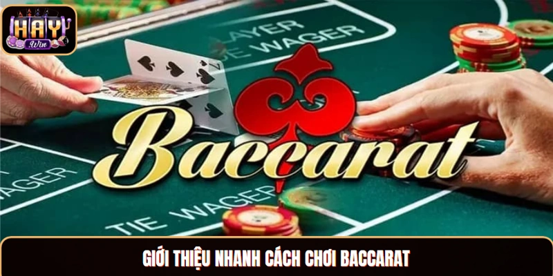 Cách Chơi Baccarat - Chuyên Gia Hướng Dẫn Từ A Đến Z Giới thiệu nhanh cách chơi Baccarat