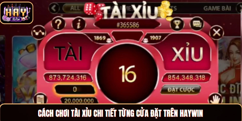Cách chơi tài xỉu chi tiết từng cửa đặt trên Haywin