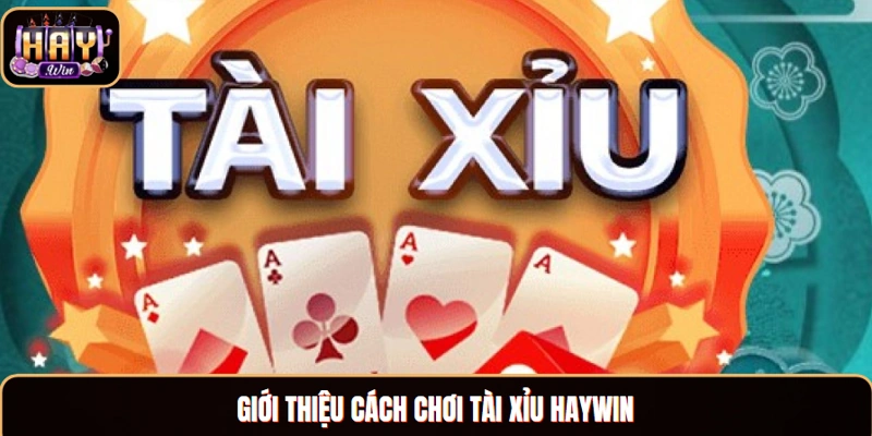 Giới thiệu cách chơi tài xỉu Haywin