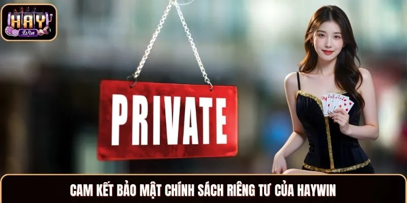 Cam kết bảo mật chính sách riêng tư của Haywin