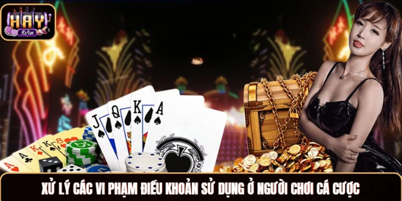 Điều Khoản Sử Dụng Haywin Chi Tiết Cho Tân Thủ Từ A Đến Z Xử lý các vi phạm điều khoản sử dụng ở người chơi cá cược