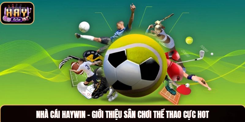 Nhà cái Haywin - giới thiệu sân chơi thể thao cực hot