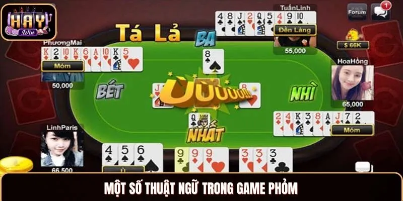 Những thuật ngữ bạn sẽ dễ gặp trong game Phỏm