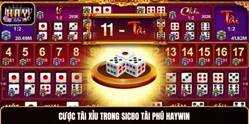 Sicbo Tài Phú Haywin - Chiến Thuật Bất Bại Từ Chuyên Gia Cách chơi Sicbo Tài Phú theo cược tài xỉu