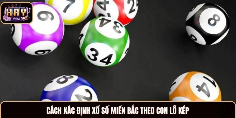 Cách xác định xổ số miền Bắc theo con lô kép