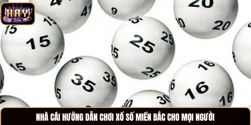 Nhà cái hướng dẫn chơi xổ số miền Bắc cho mọi người