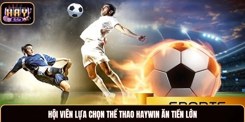 Hội viên lựa chọn thể thao Haywin ăn tiền lớn